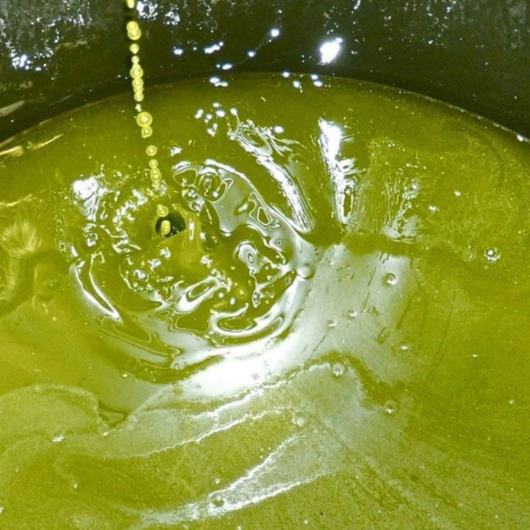 Raffinerad olivolja: Din guide till högsta kvalitet 2025